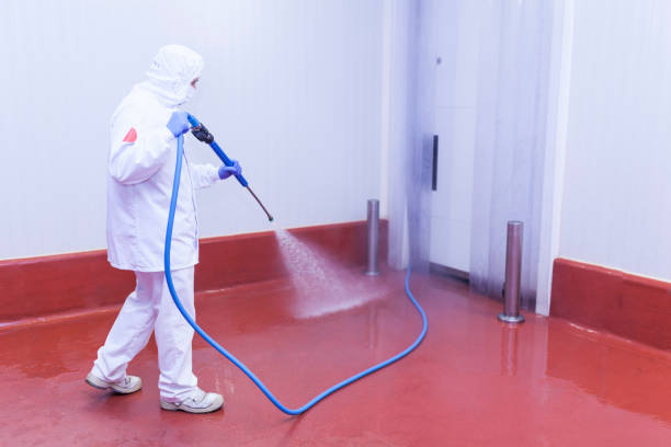 Best Paint Preparation  in Bolinas, CA