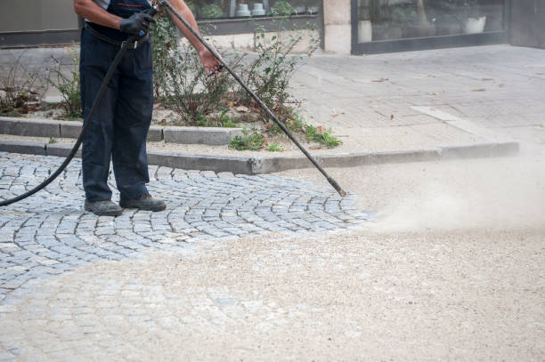 Best Gutter Cleaning  in Bolinas, CA