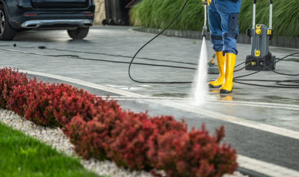 Best Roof Washing  in Bolinas, CA